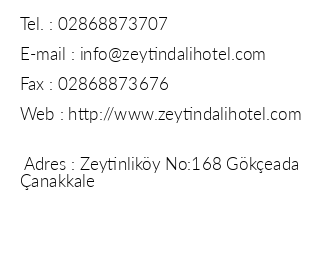 Zeytindal Hotel iletiim bilgileri